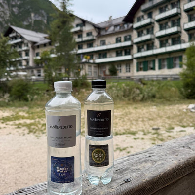 Two bottles of mineral water with Universal and Business labels on a wooden rail in front of a mountain hotel